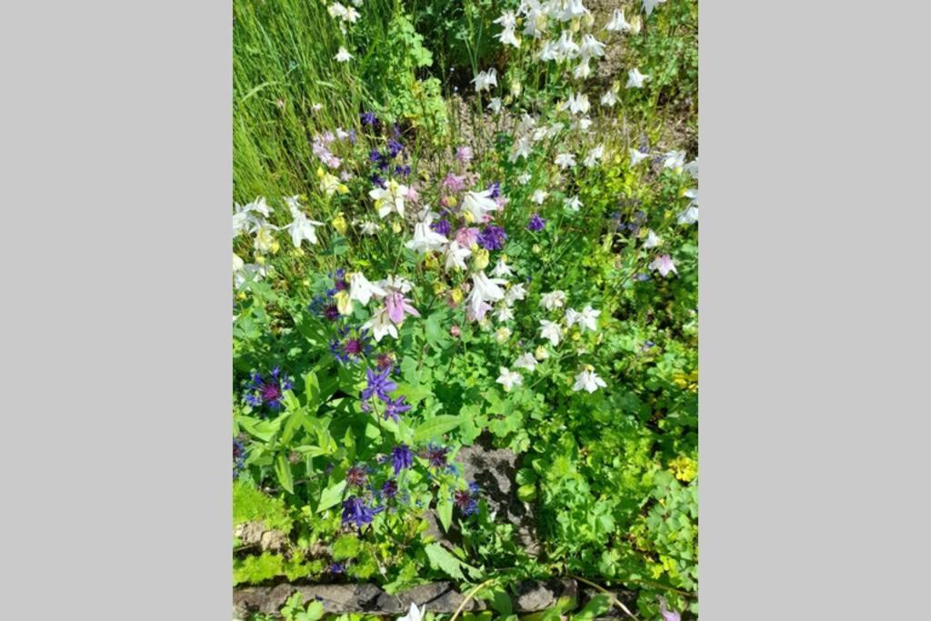 Hinter Burg, Haus Mit Garten Mayen Exterior photo